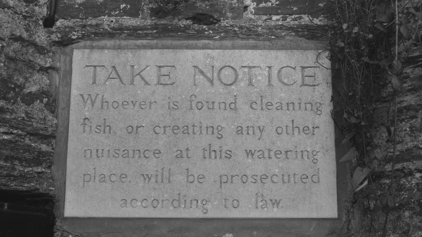 A carved stone notice set into an old wall, headed Take Notice, warning that anyone cleaning fish at this watering place will be prosecuted: one standing rule, posted where everyone arrives